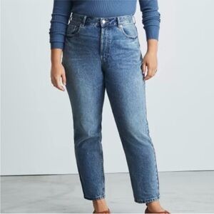 Everlane the Curvy 90s Cheeky Straight Leg Jeans in Vintage Blue